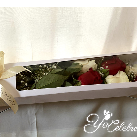 Caja con 6 Rosas, Blancas y Rojas